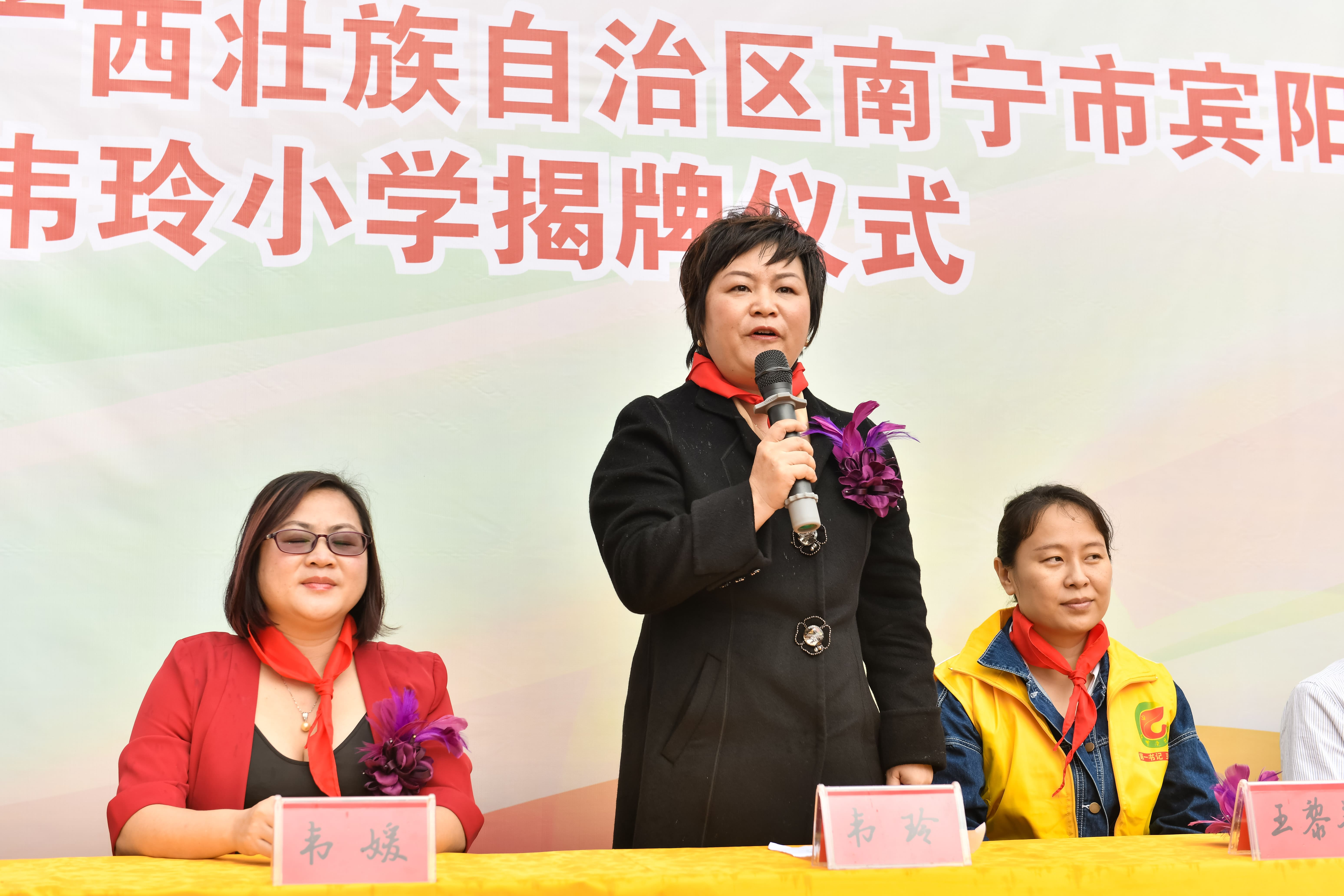 第184所  南宁市宾阳县思陇镇昆仑村大江平台-大江(中国)一站式服务平台
韦玲小学